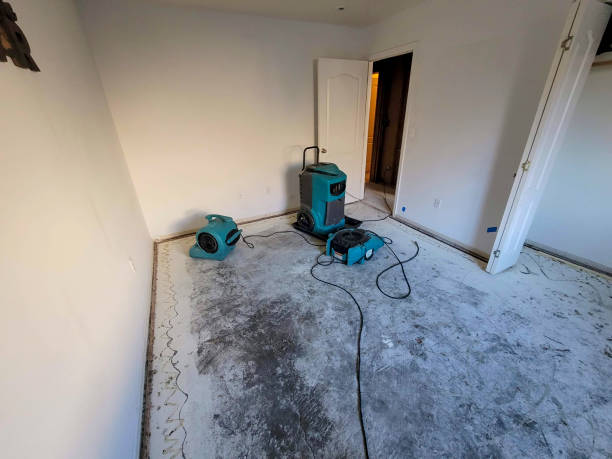 Best Carpet water damage restoration  in Laredo, TX