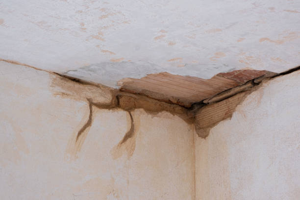 Best 24/7 water damage repair  in Laredo, TX