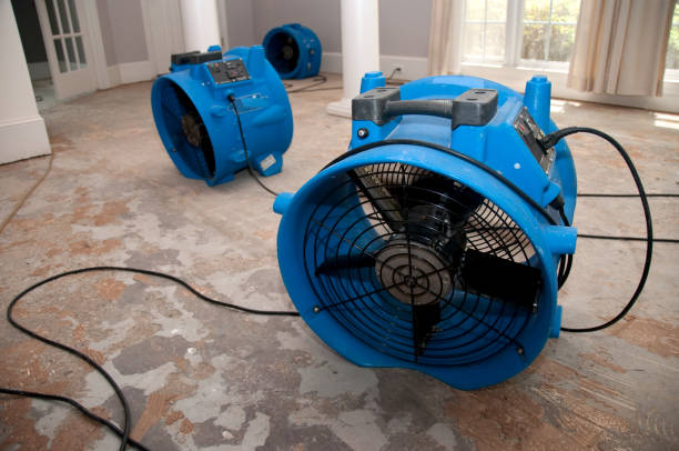 Best Water damage restoration near me  in Laredo, TX