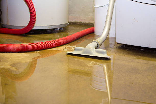 Best Commercial water damage restoration  in Laredo, TX