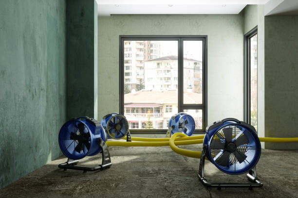Best Flood restoration services  in Laredo, TX